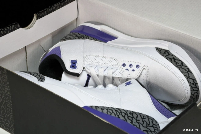 Dark Jordan CT8532-105 Iris Retro 3 0508